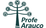 Profe Arauco
